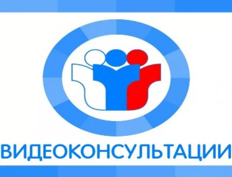 Видеоконсультации председателей предметных комиссий Омской области.